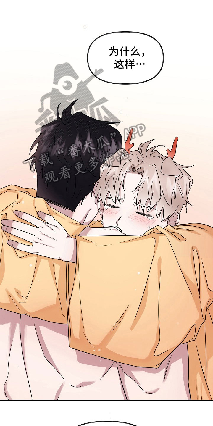 命定姻缘漫画,第4章：没必要1图