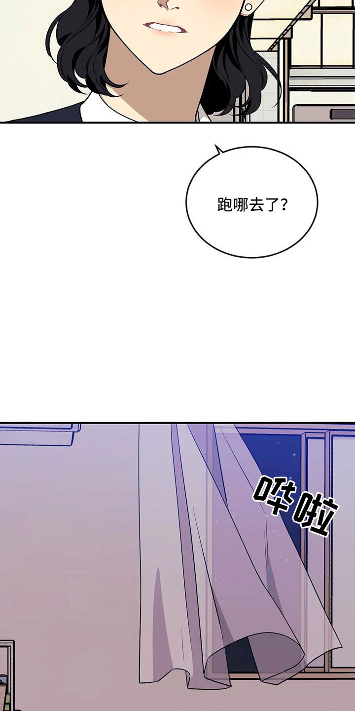 圆旺食品二部漫画,第98章：【第三季】去哪了3图