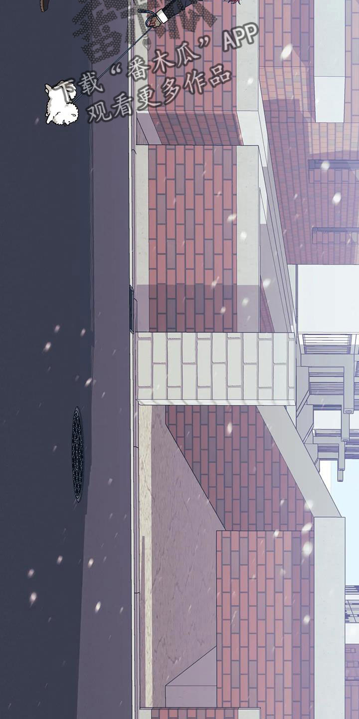 愿望实现的诗句漫画,第120章：【第三季】偶遇3图