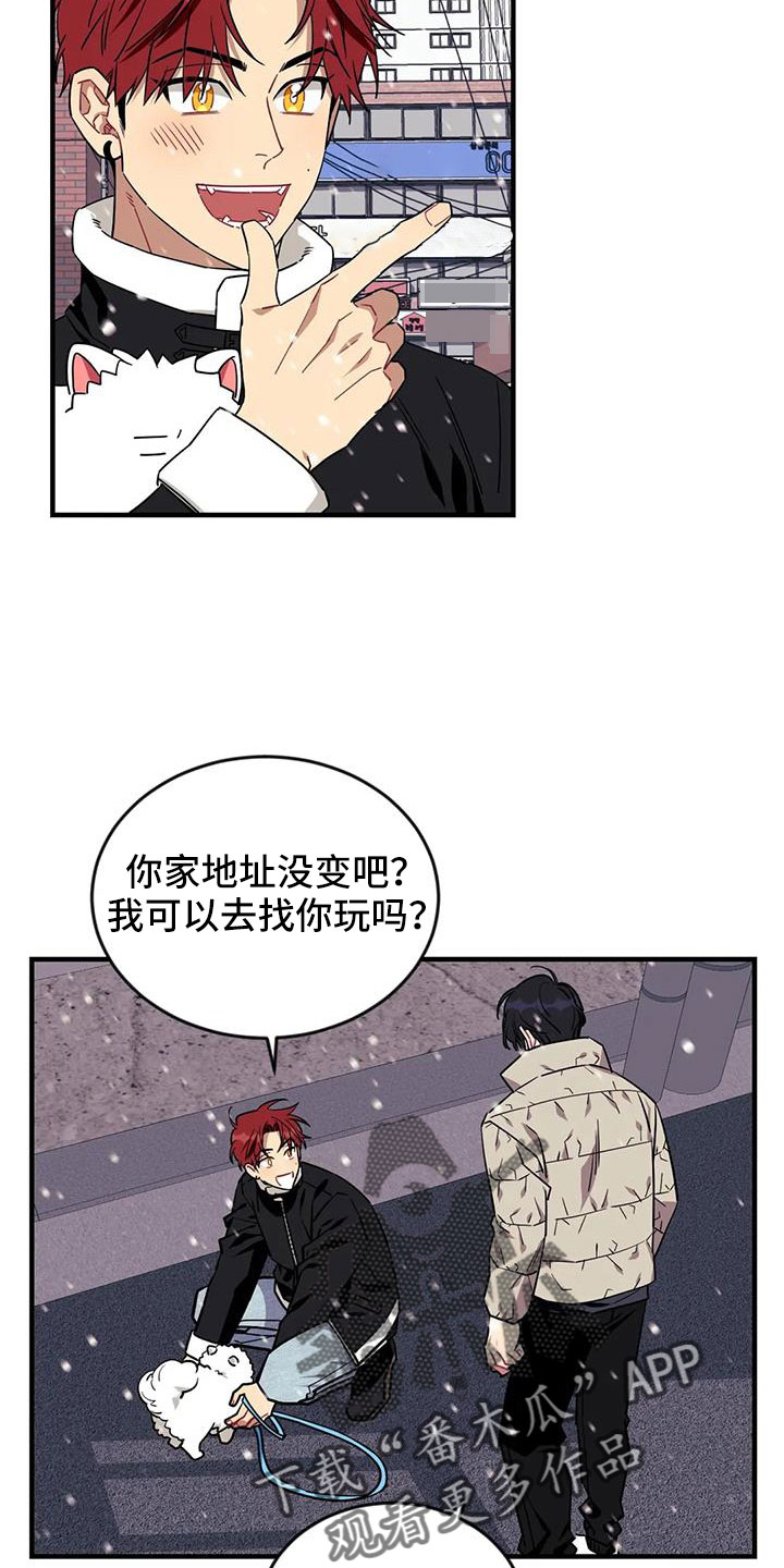 愿望使命漫画,第121章：【第三季】接吻2图