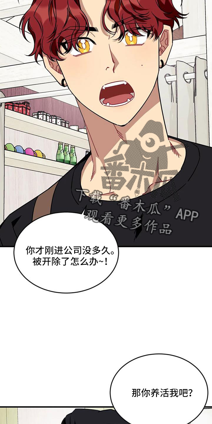 愿望使命漫画,第126章： 【第三季】让我表白3图