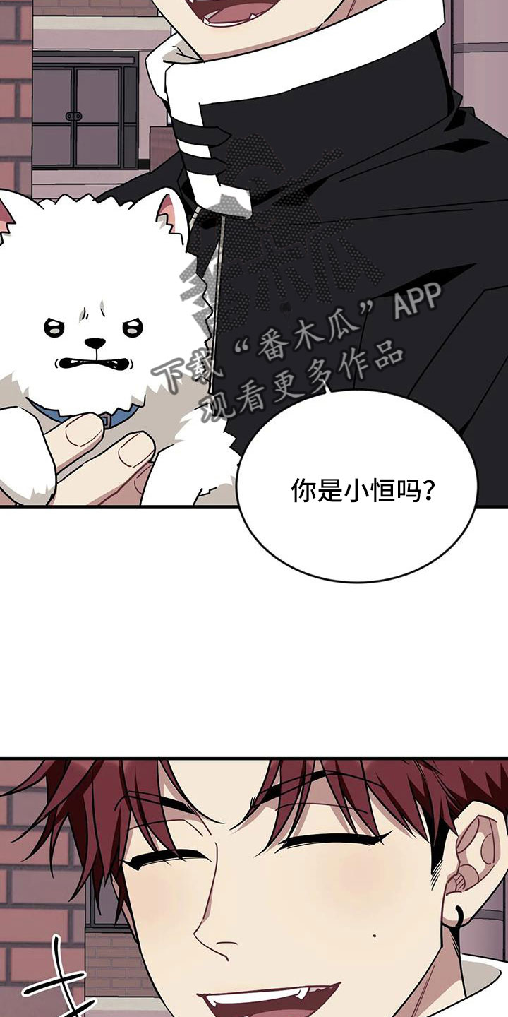 愿望使命漫画,第122章：【第三季】干净5图