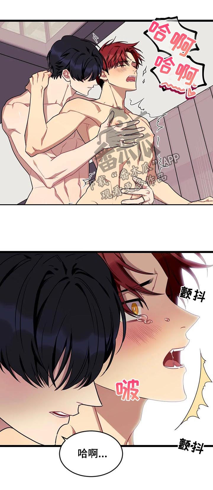 愿望使命漫画,第83章：【第二季】冷静些了吗4图