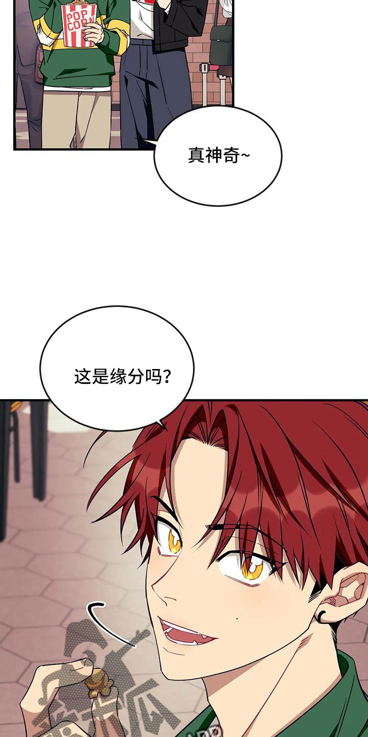 愿望使命漫画,第125章： 【第三季】很喜欢你2图