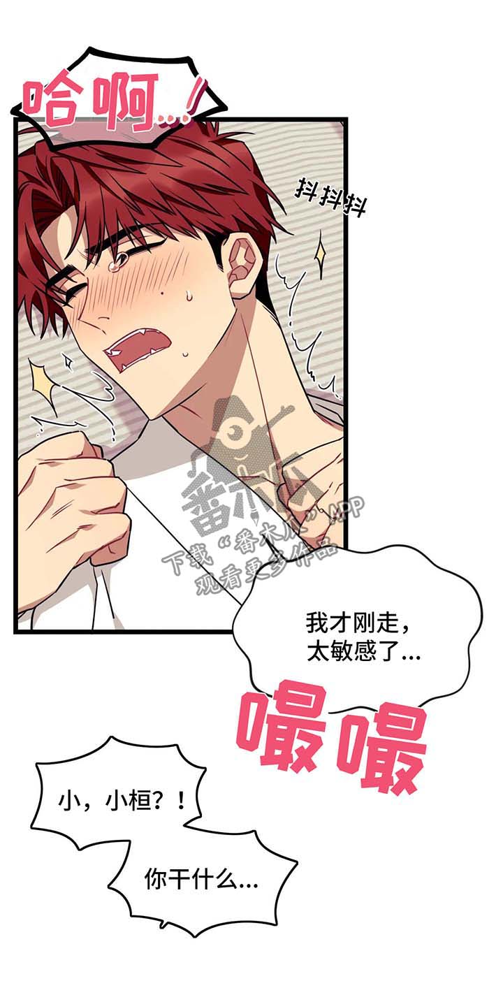 愿望使命漫画,第50章：去床上4图