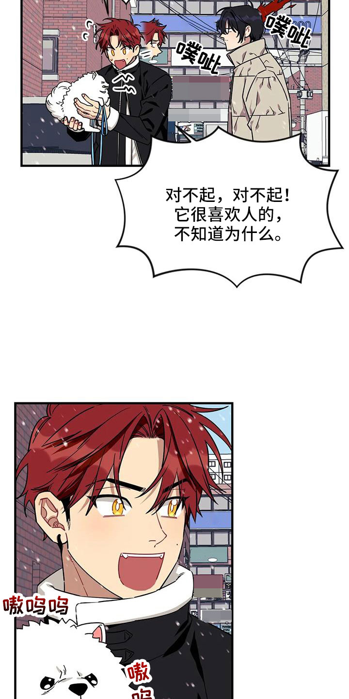 愿望使命漫画,第121章：【第三季】接吻4图