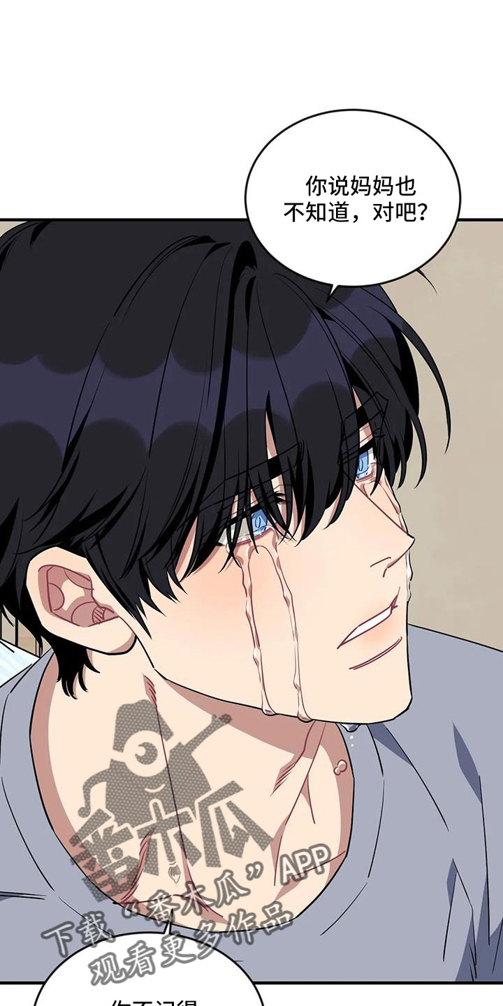 愿望使命漫画,第117章：【第三季】还活着1图