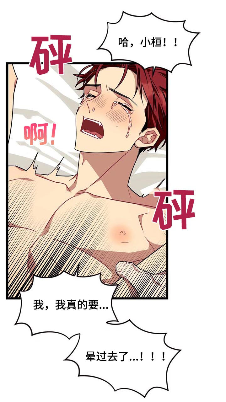 愿望使命漫画,第84章：【第二季】还不够4图