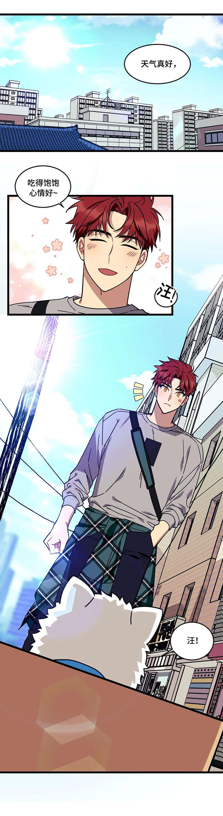 愿望的实现作者是谁漫画,第21章：流浪狗2图