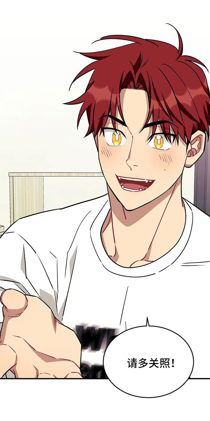 愿望使命漫画,第123章：【第三季】过得好吗2图