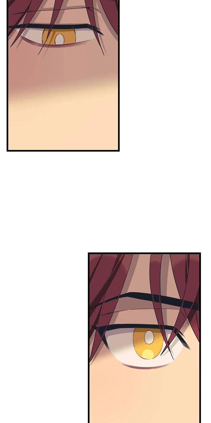 愿望守护者玩具漫画,第109章：【第三季】不会忘了你1图