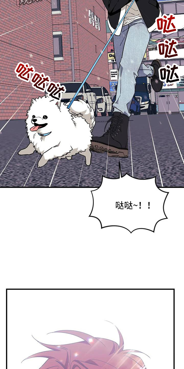 愿望神猴漫画,第120章：【第三季】偶遇4图