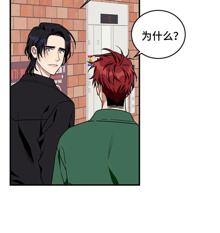 愿望使命漫画,第125章： 【第三季】很喜欢你4图