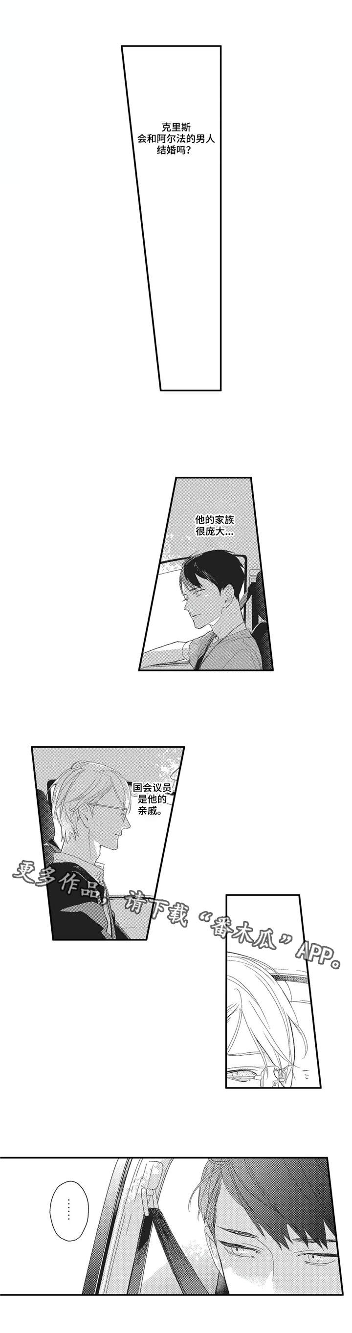 阿尔法家族漫画,第17章：帅气的老公4图