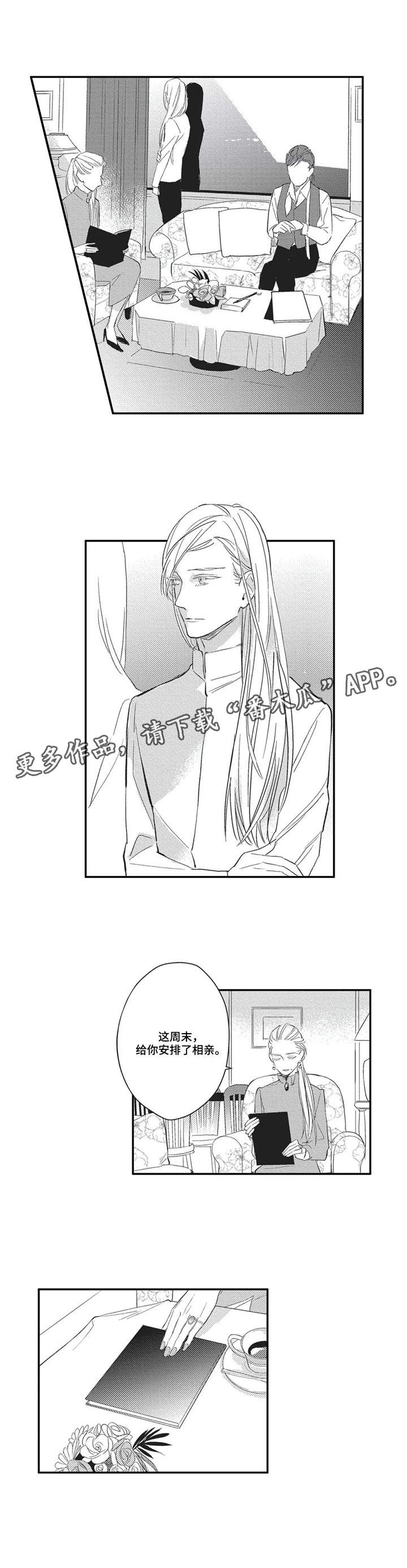 阿尔法家族漫画,第5章：安排相亲1图