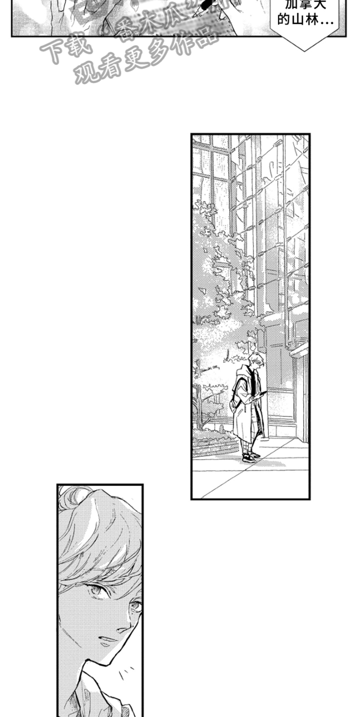 春天的树漫画,第4章：发表2图