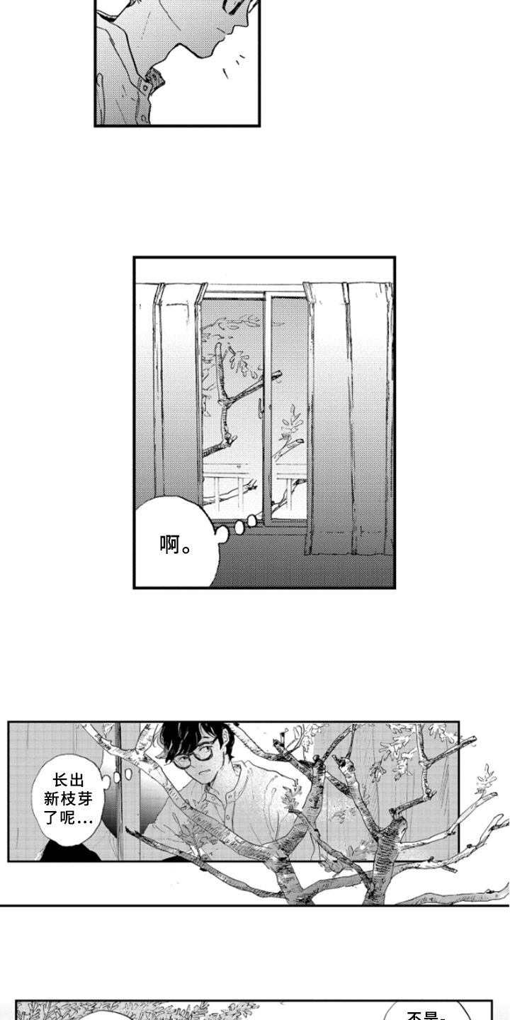 春天的树图片儿童画漫画,第27章：紧张3图