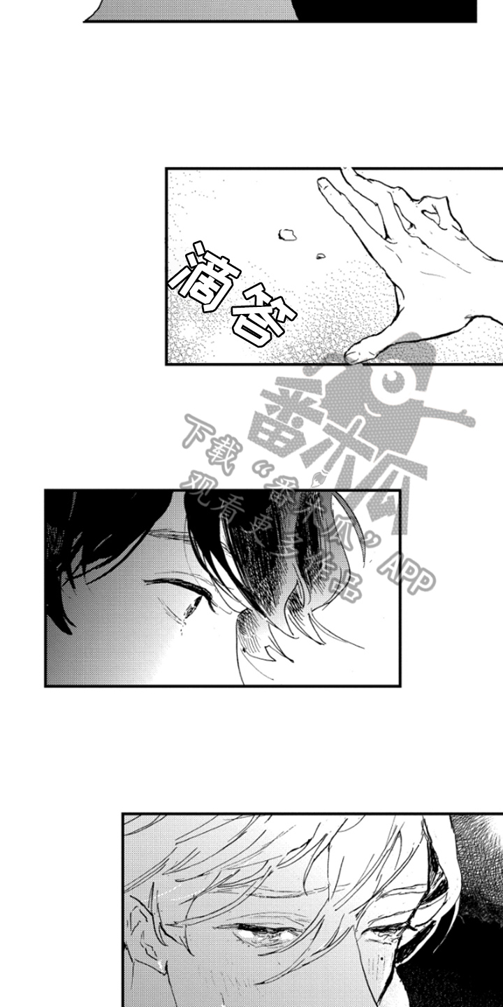 春天的树叶怎么描写漫画,第30章：照片2图