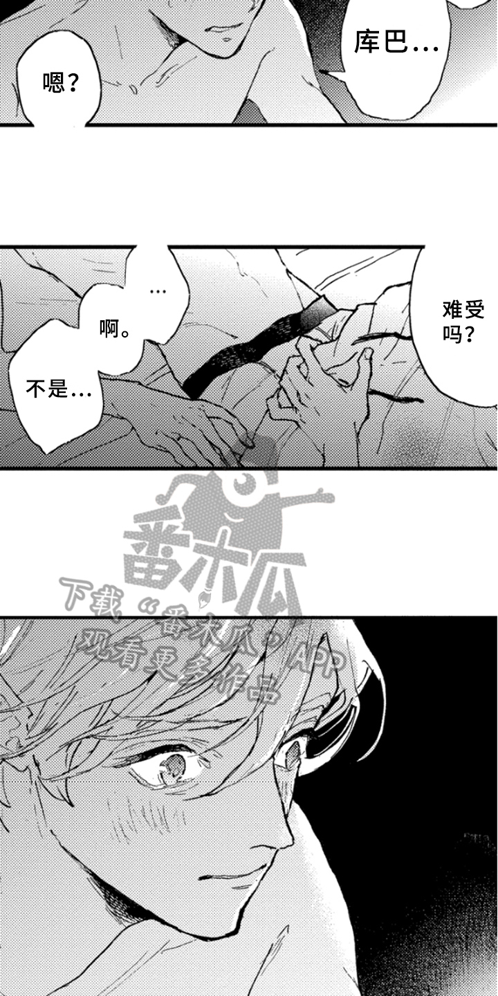 春天的树漫画,第31章：中止4图