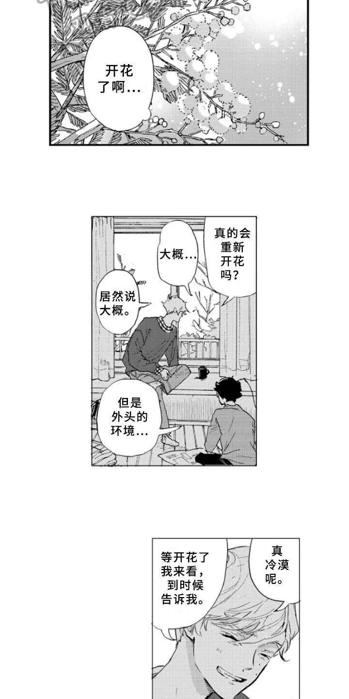 春天的树漫画,第38章：坦诚5图