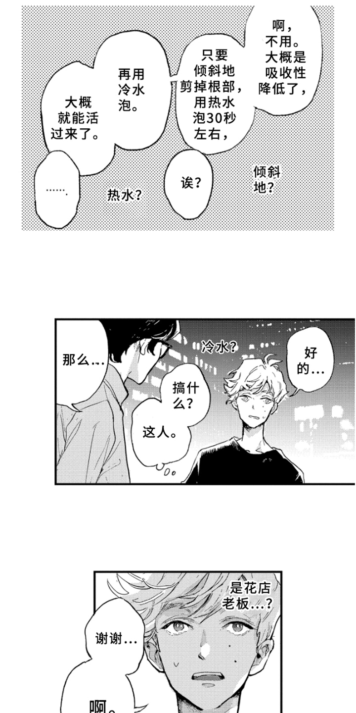 春天的树漫画,第2章：在意3图