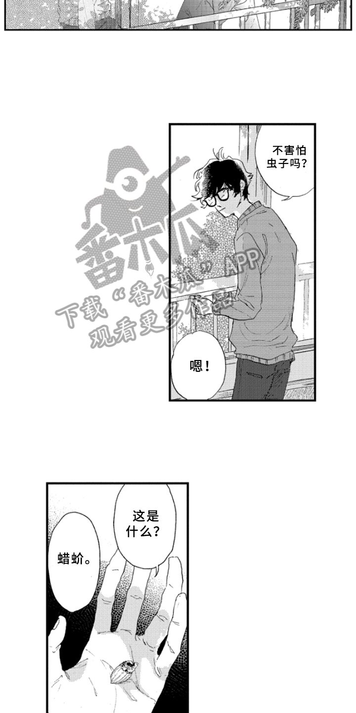 春天的树漫画,第15章：理解1图