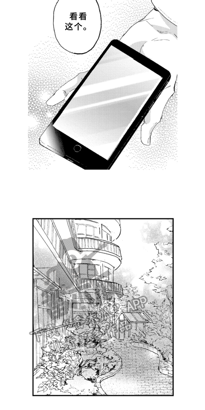 春天的树漫画,第21章：冲击5图