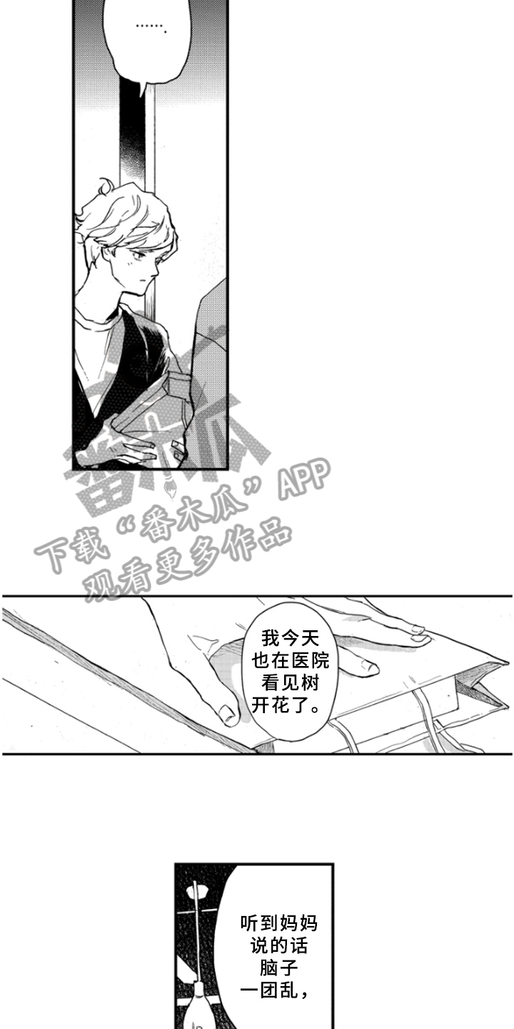 春天的树漫画,第40章：释然3图