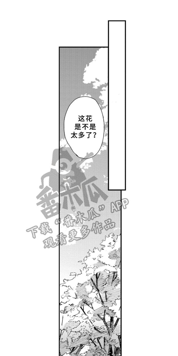 春天的树漫画,第41章：下回再来【完结】1图