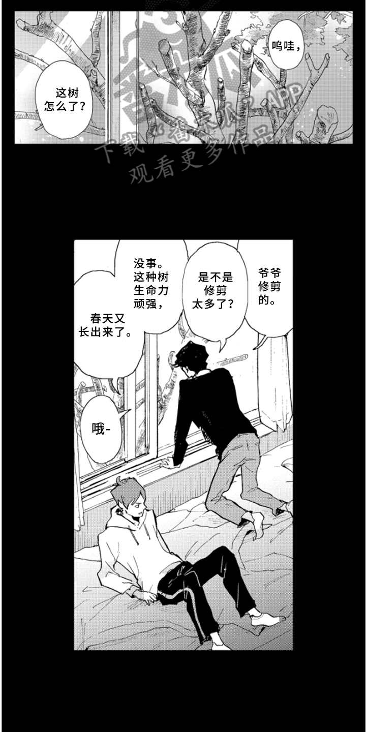 春天的树漫画,第28章：过去的回忆1图