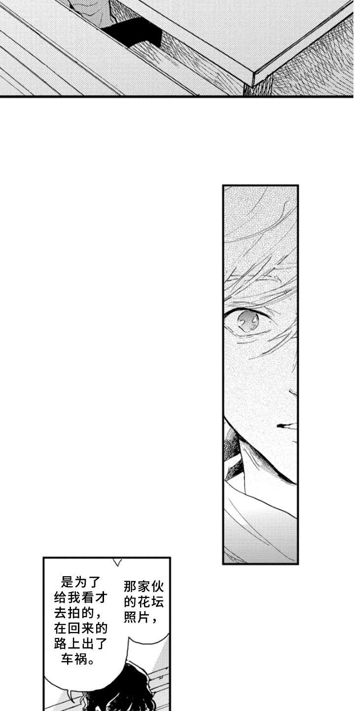 春天的树漫画,第34章：无法忘记4图