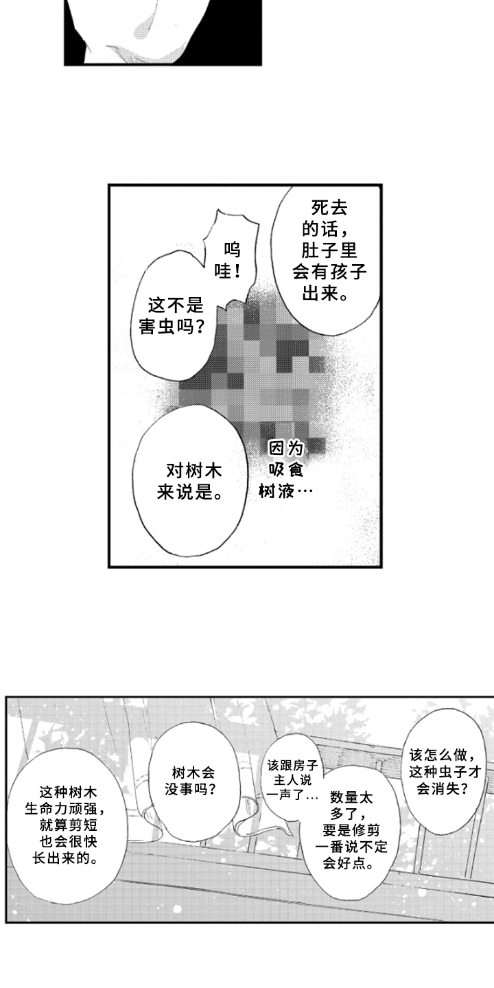 春天的树漫画,第15章：理解2图