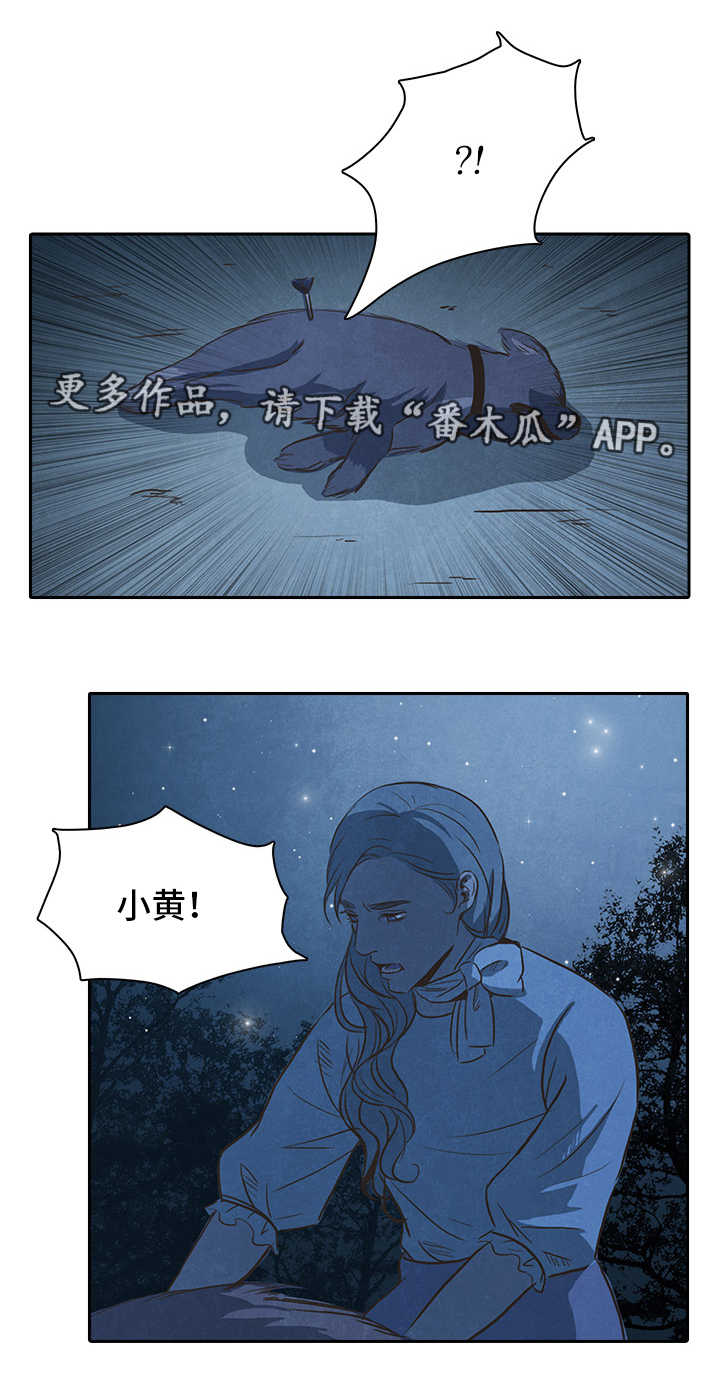 囚困牢笼免费阅读漫画,第37章：成功2图
