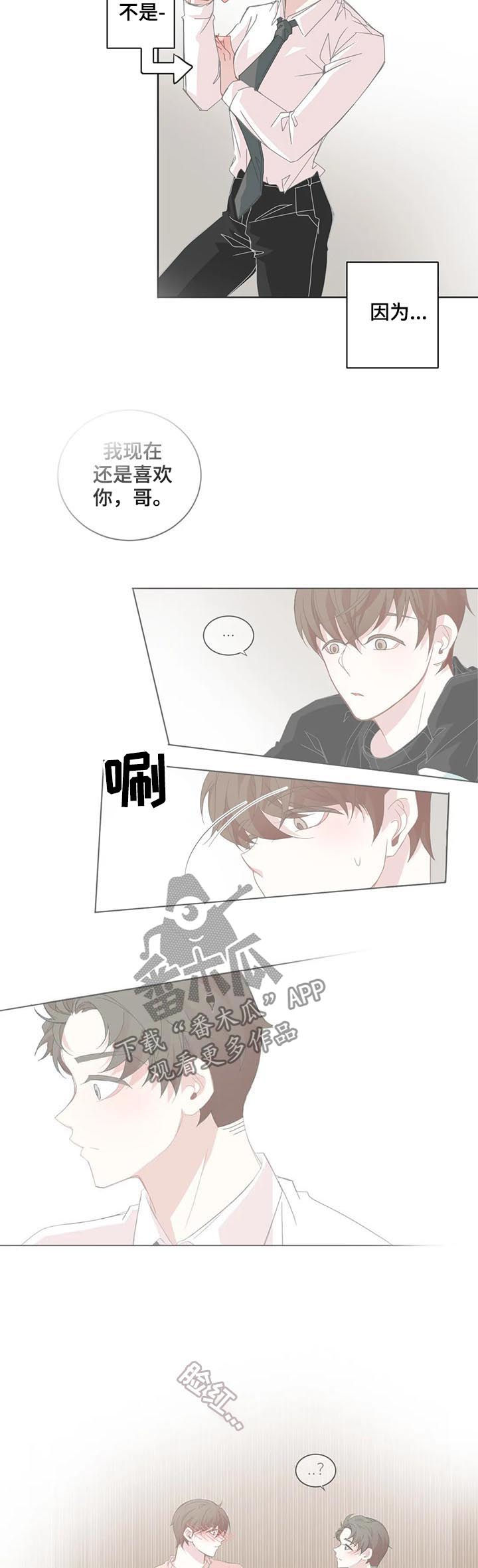 星和东家漫画,第59章：只是家人2图