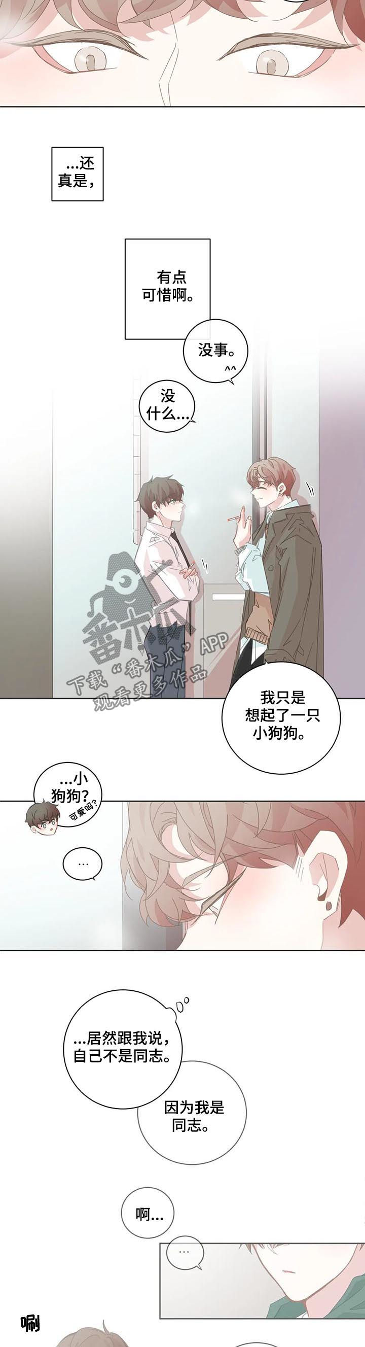 星和东家漫画,第85章：小狗太凶1图