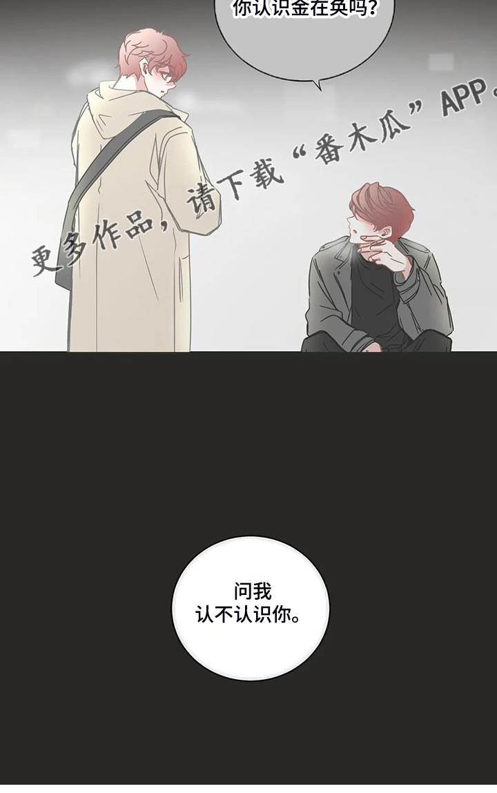 星和东家漫画,第217章：见面完就走4图