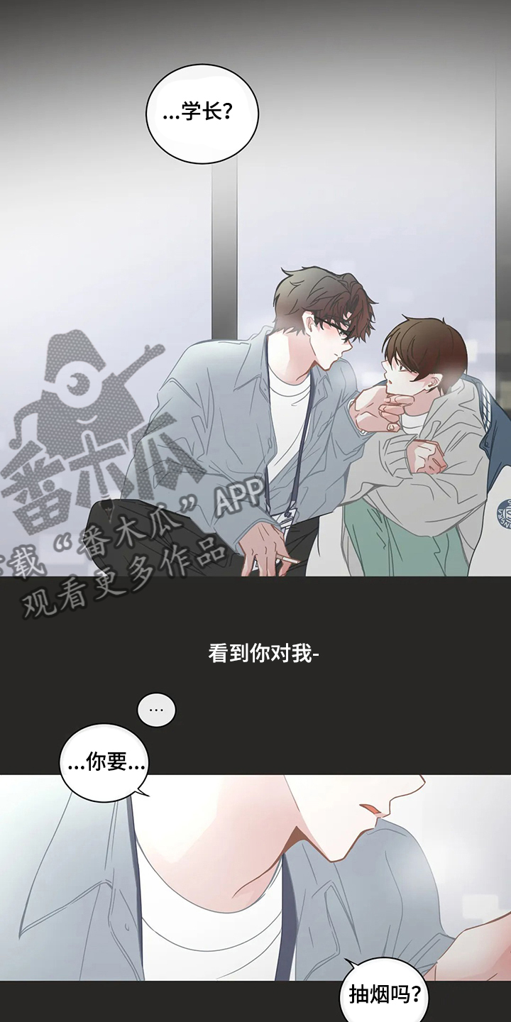 星和东家漫画,第251章：不想伤害你5图
