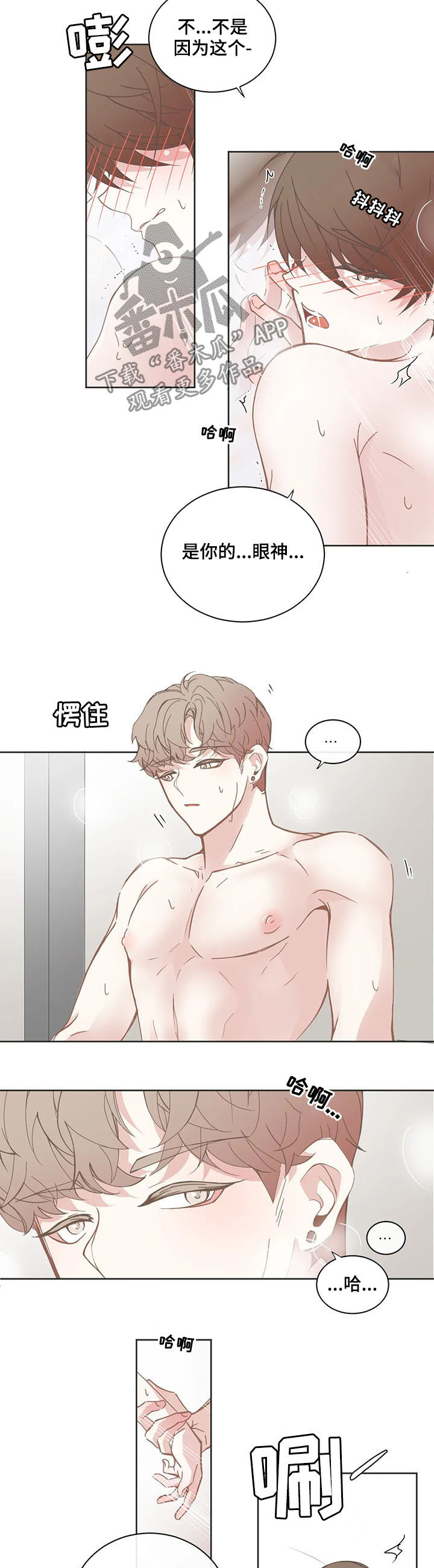 星和东家漫画,第144章：叫哥4图