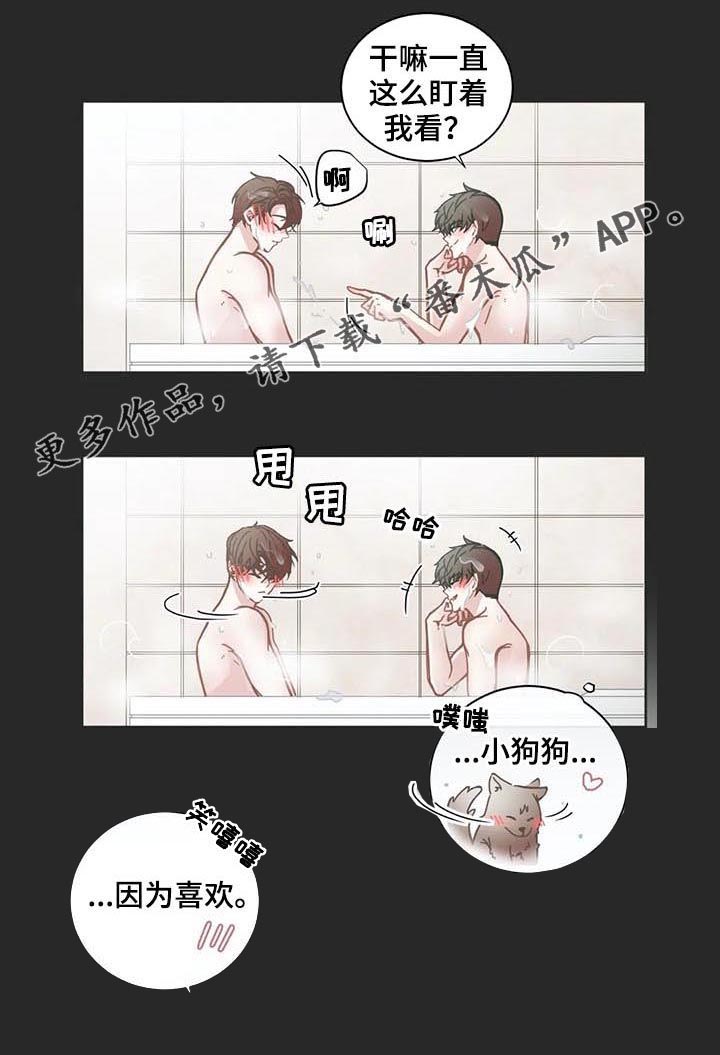 星和东家漫画,第121章：完美的人1图
