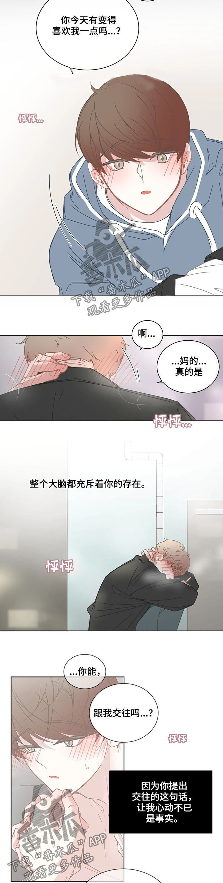 星和东家漫画,第158章：我们交往吧3图