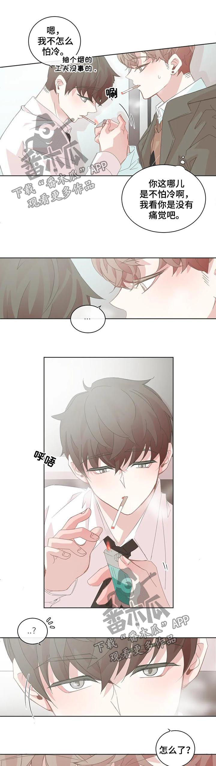 星和东家漫画,第85章：小狗太凶5图