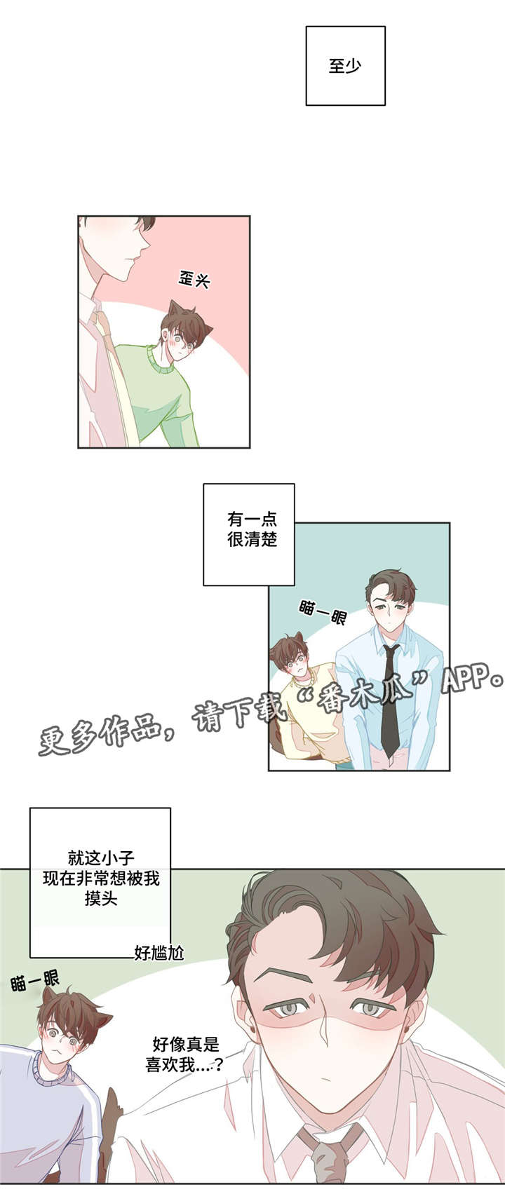 星和东家漫画,第14章：该怎么办1图