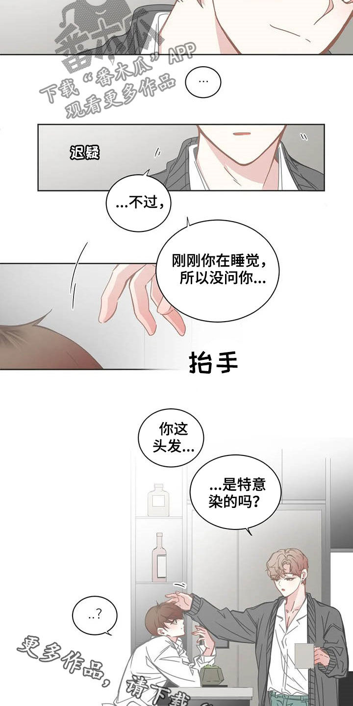 星和东家漫画,第171章：头发3图