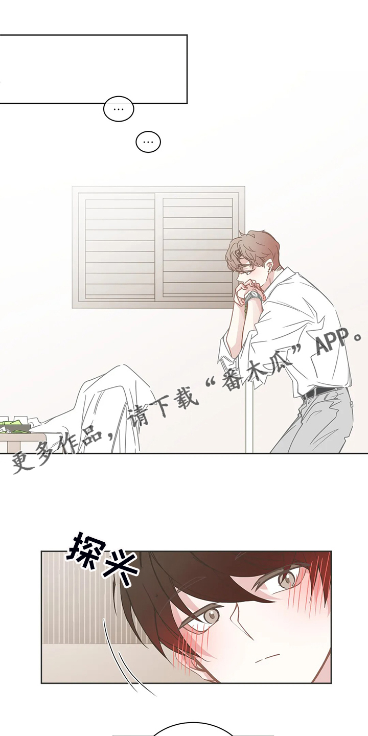 星和东家漫画,第248章：你来了1图