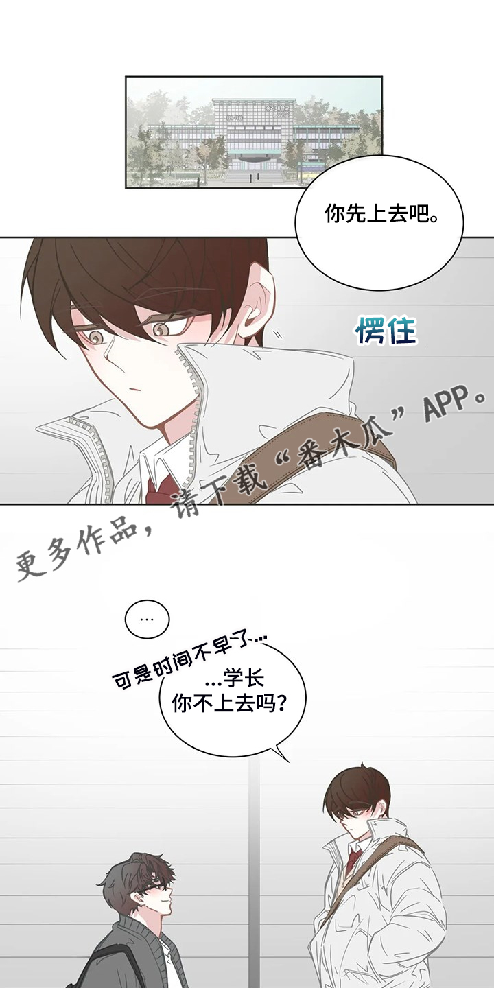 星和东家漫画,第252章：同一个牌子1图