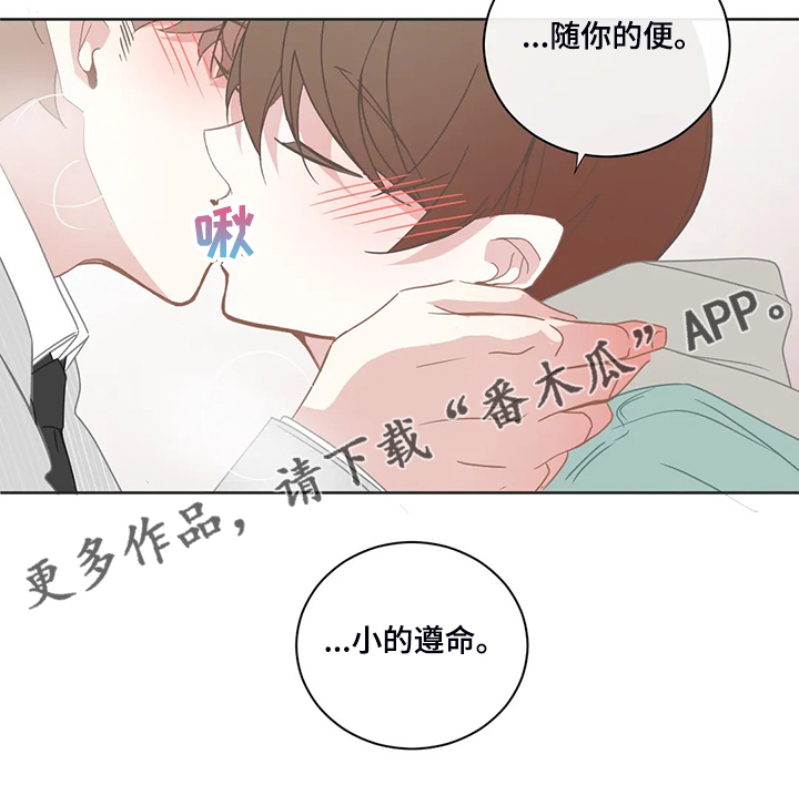 星河动力参股概念股一览表漫画,第196章：小的遵命3图