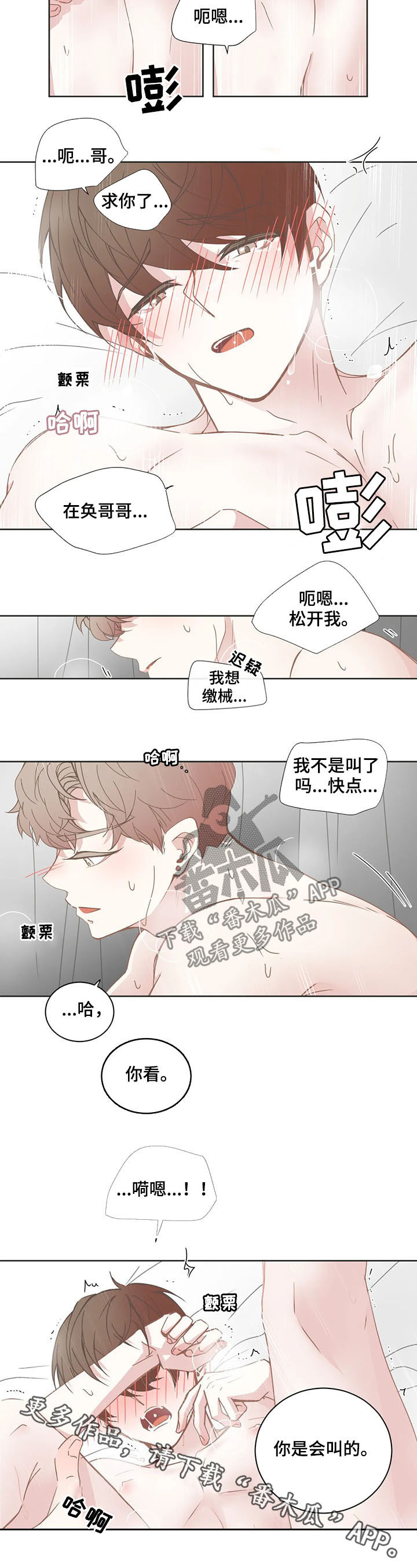 星和东家漫画,第144章：叫哥4图