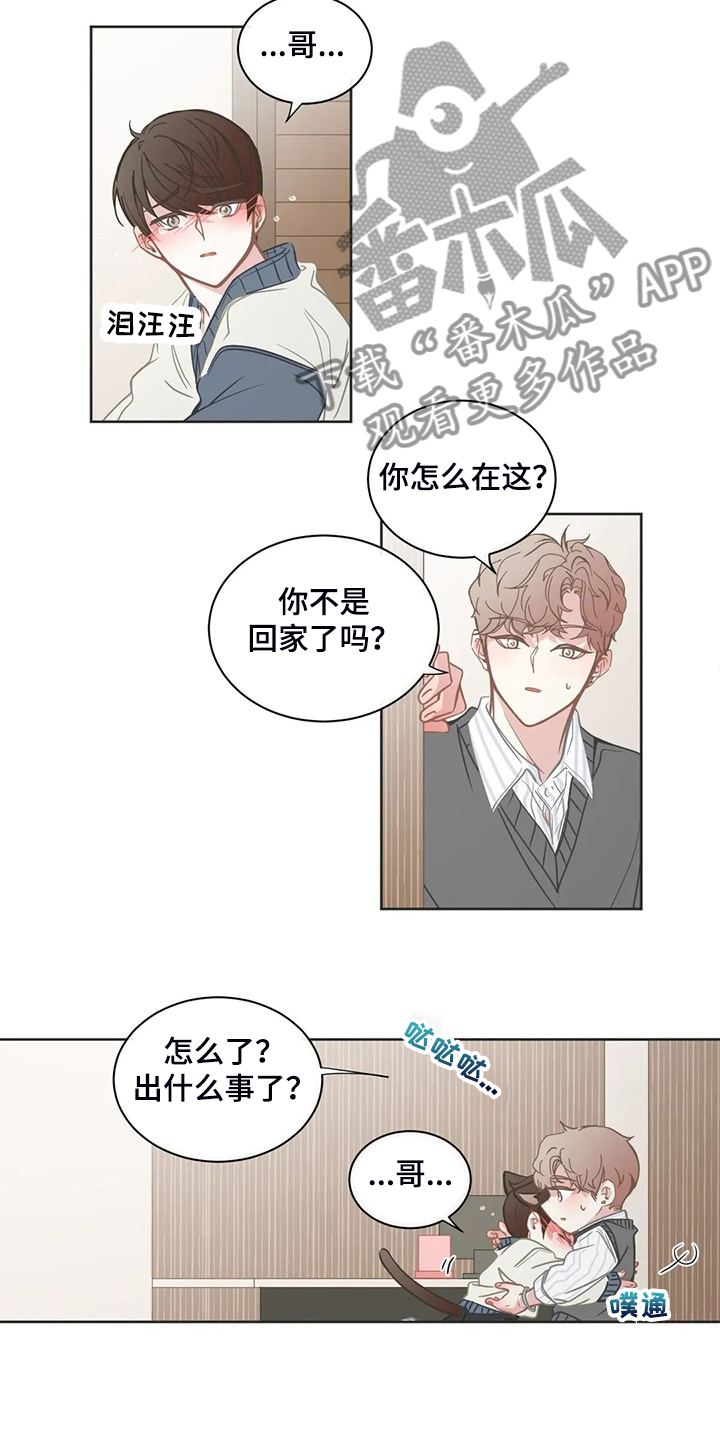 星和东家漫画,第260章：母亲通关2图