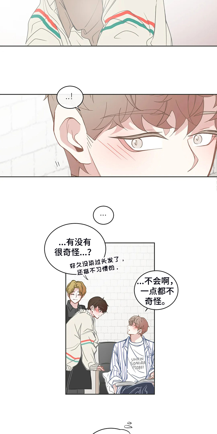 星和东家漫画,第202章：就不能注意点2图