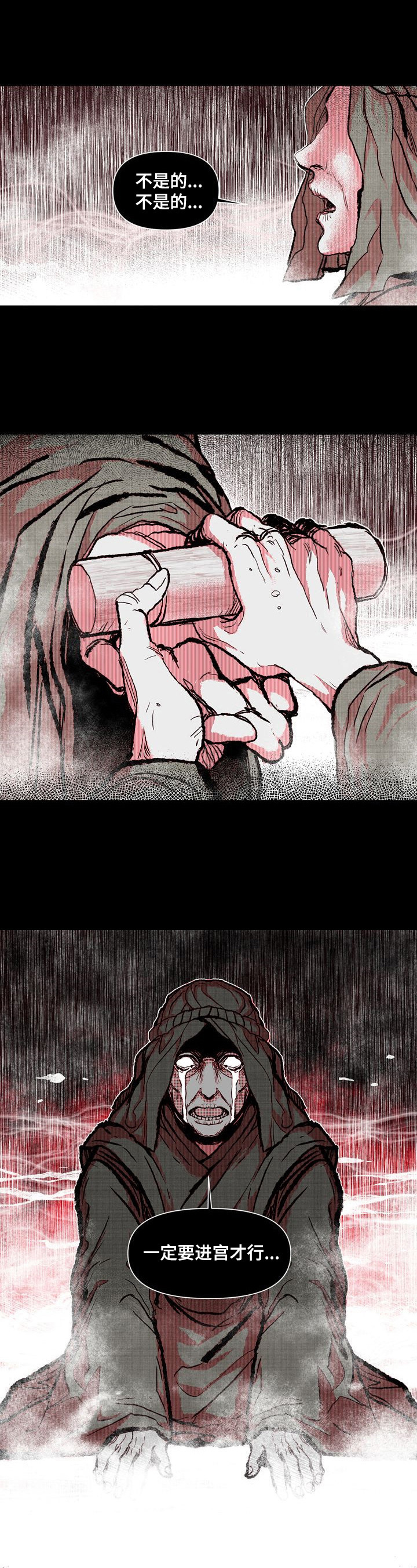 燎火之声漫画,第26章：进宫理由5图